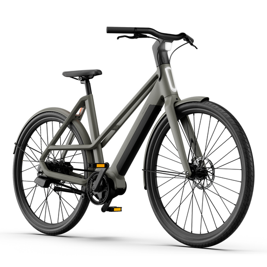 Electric Ivy Two Pro Graphite